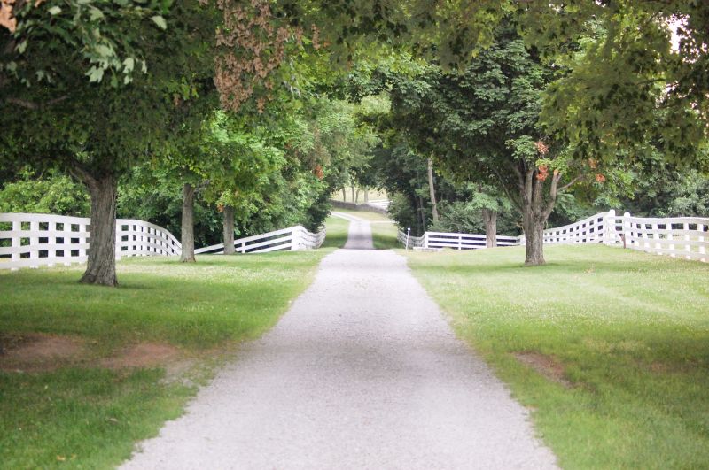 Stone Sidewalk Installation
