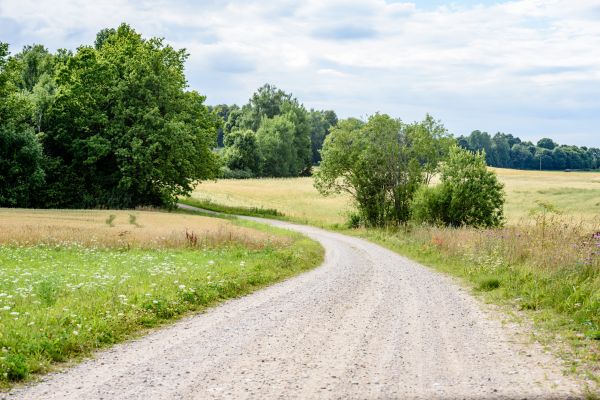 Cost of Stone Driveway Repair in Frederick